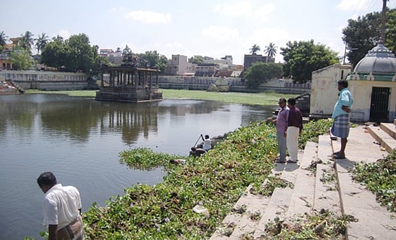 இளமையாக்கினார் கோயில் குளத்தில் உள்ள ஆகாயத்தாமரை அகற்றம்!
